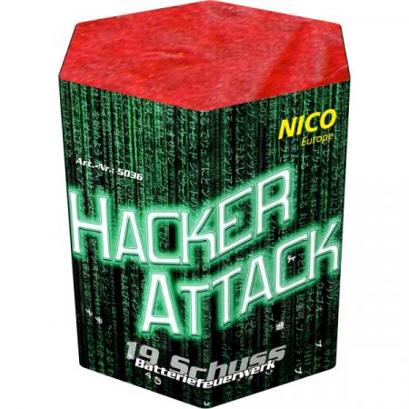 Hacker Attack